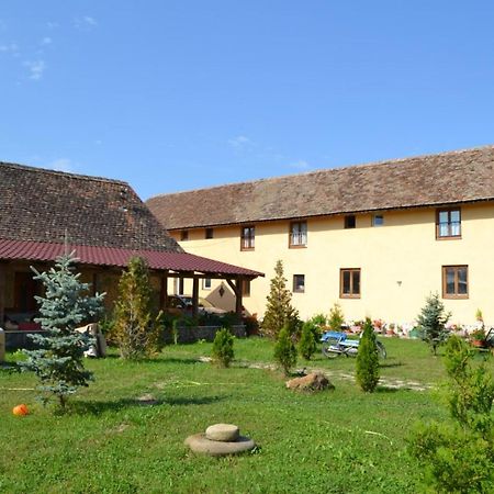 Casa Maria Daire Cincu Dış mekan fotoğraf