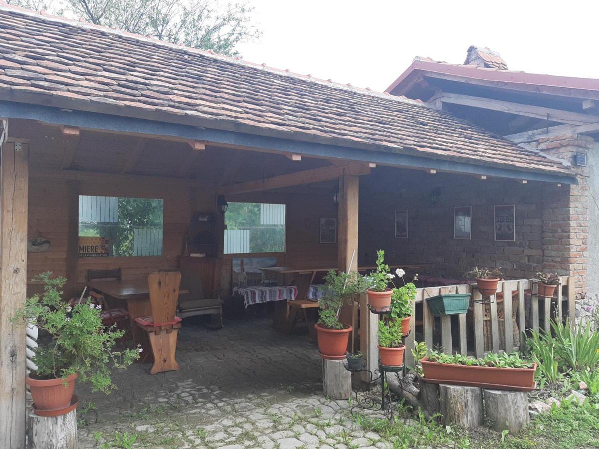Casa Maria Daire Cincu Dış mekan fotoğraf
