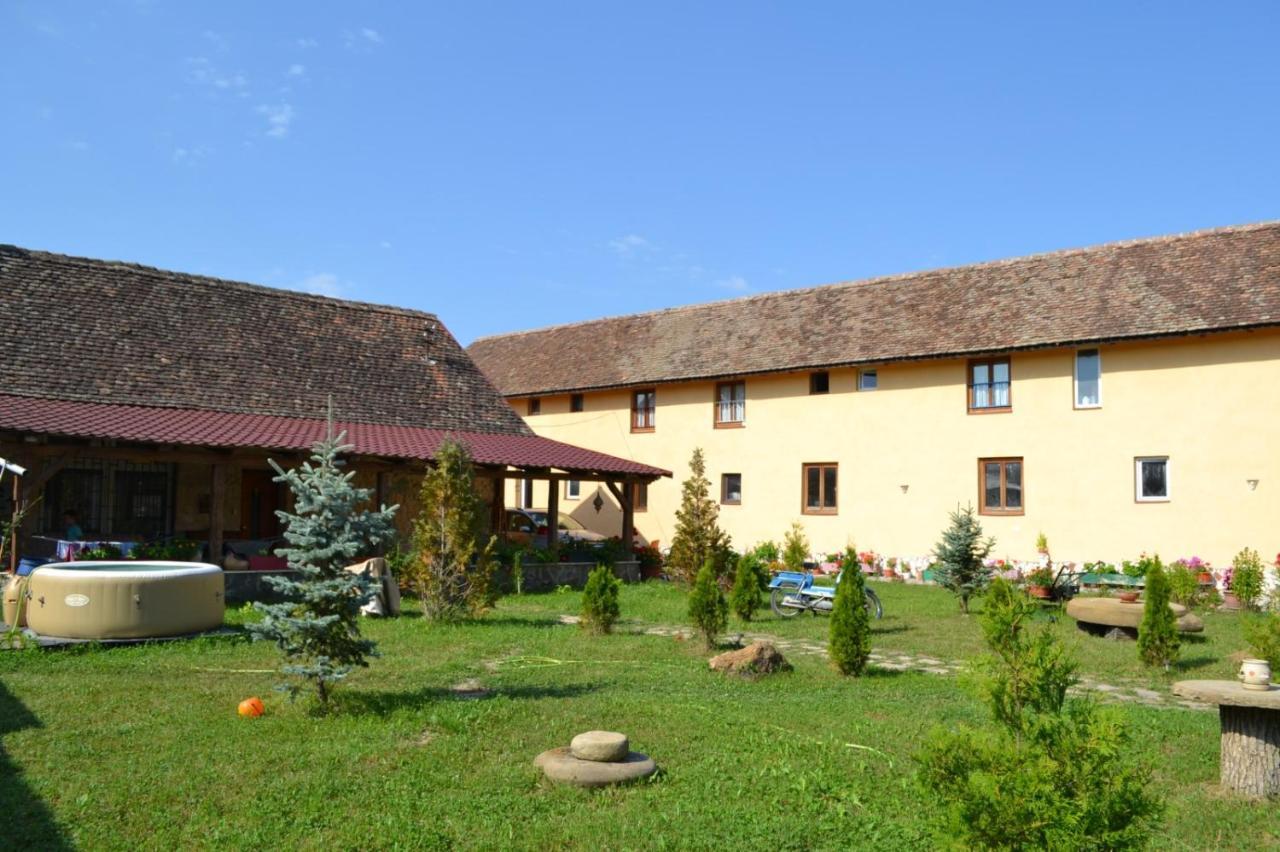 Casa Maria Daire Cincu Dış mekan fotoğraf