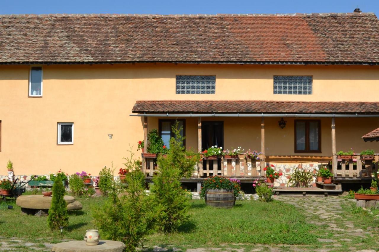 Casa Maria Daire Cincu Dış mekan fotoğraf