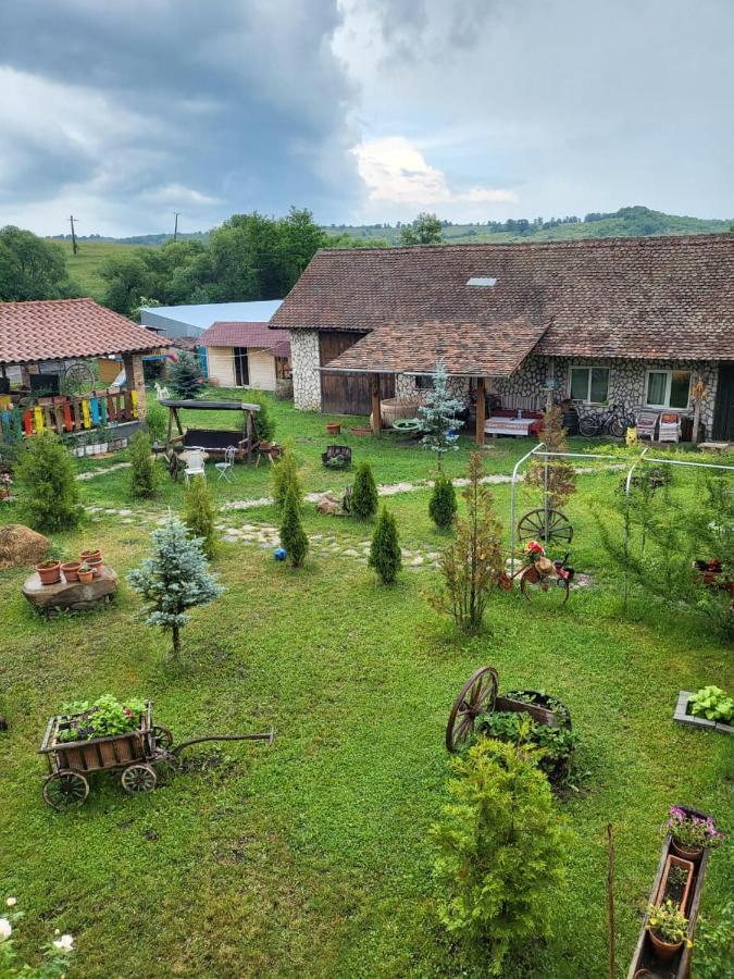 Casa Maria Daire Cincu Dış mekan fotoğraf