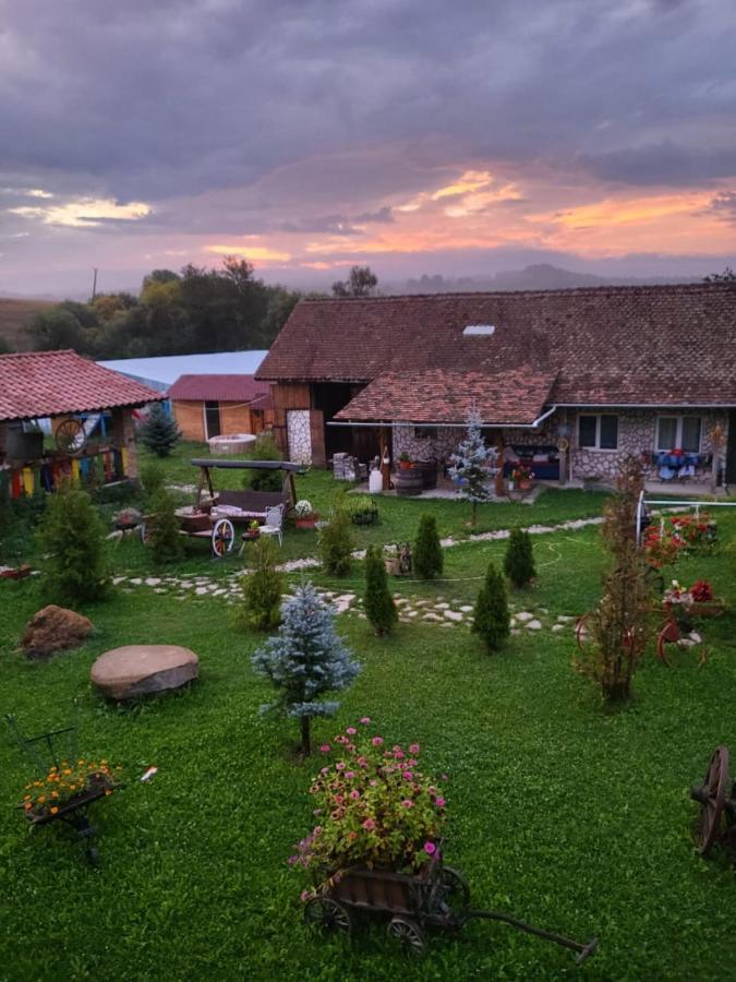 Casa Maria Daire Cincu Dış mekan fotoğraf