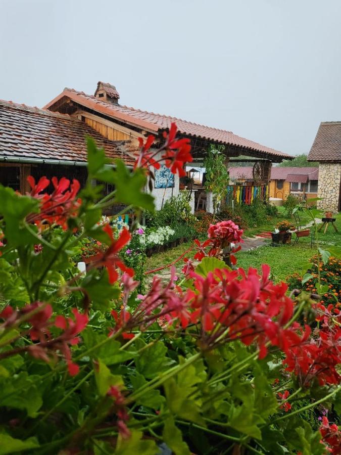Casa Maria Daire Cincu Dış mekan fotoğraf