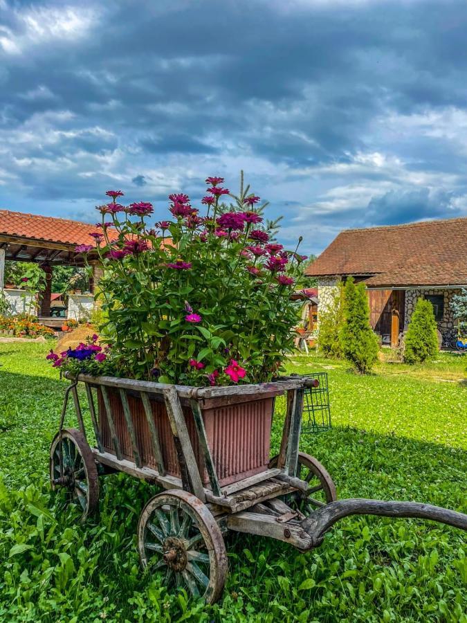 Casa Maria Daire Cincu Dış mekan fotoğraf