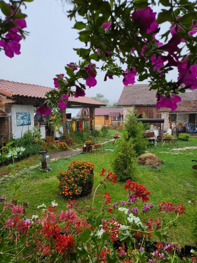 Casa Maria Daire Cincu Dış mekan fotoğraf