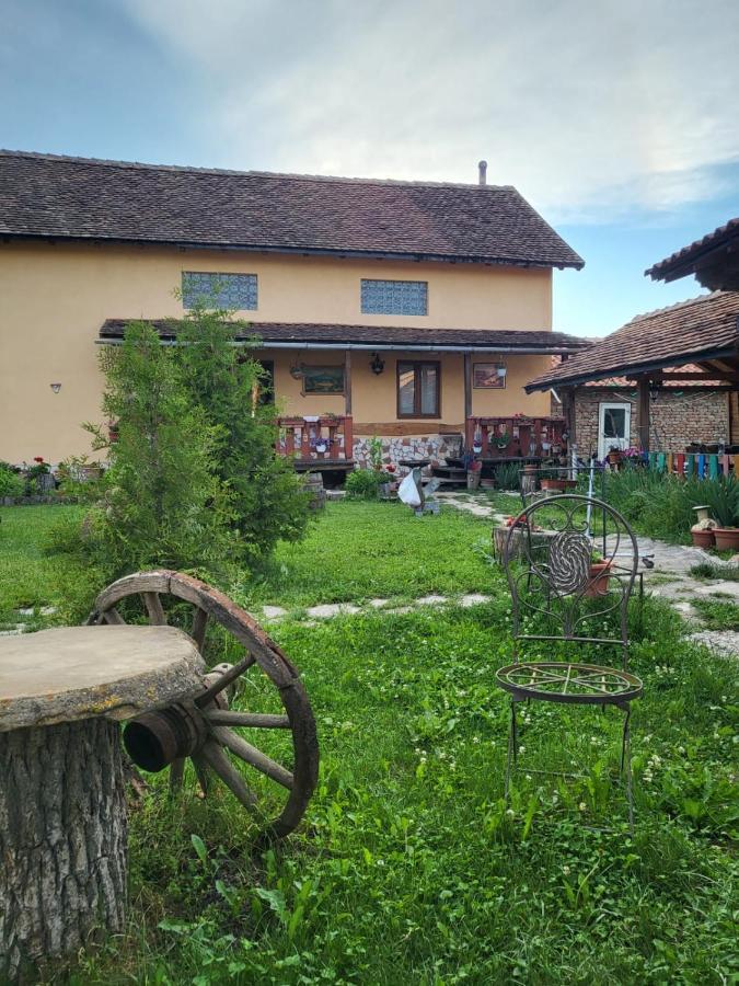 Casa Maria Daire Cincu Dış mekan fotoğraf