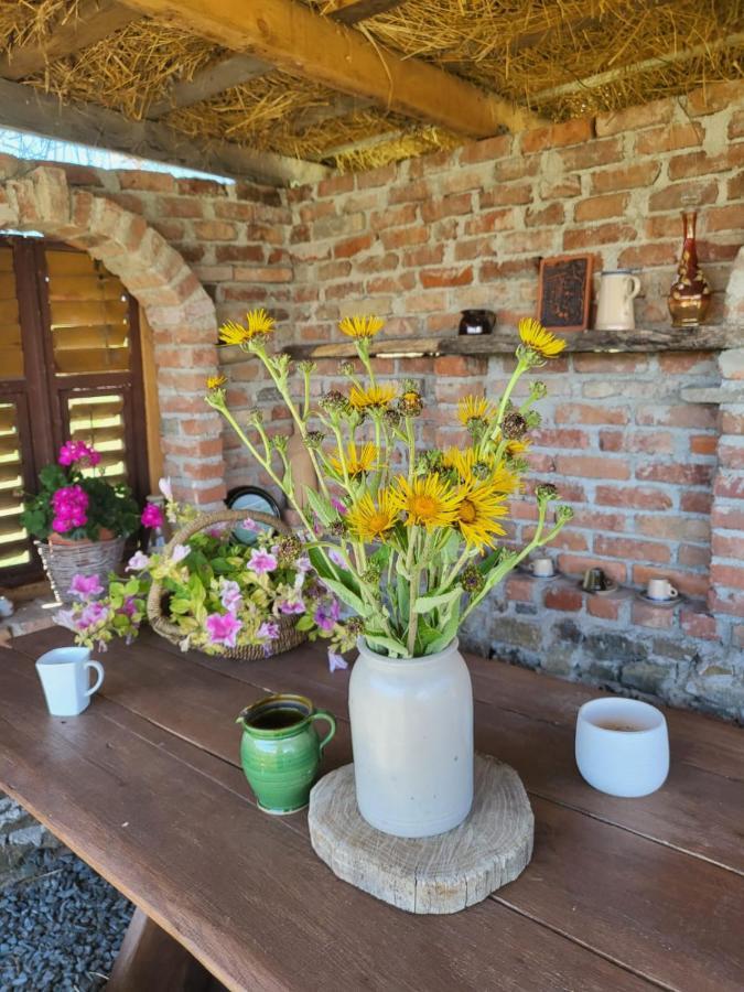 Casa Maria Daire Cincu Dış mekan fotoğraf