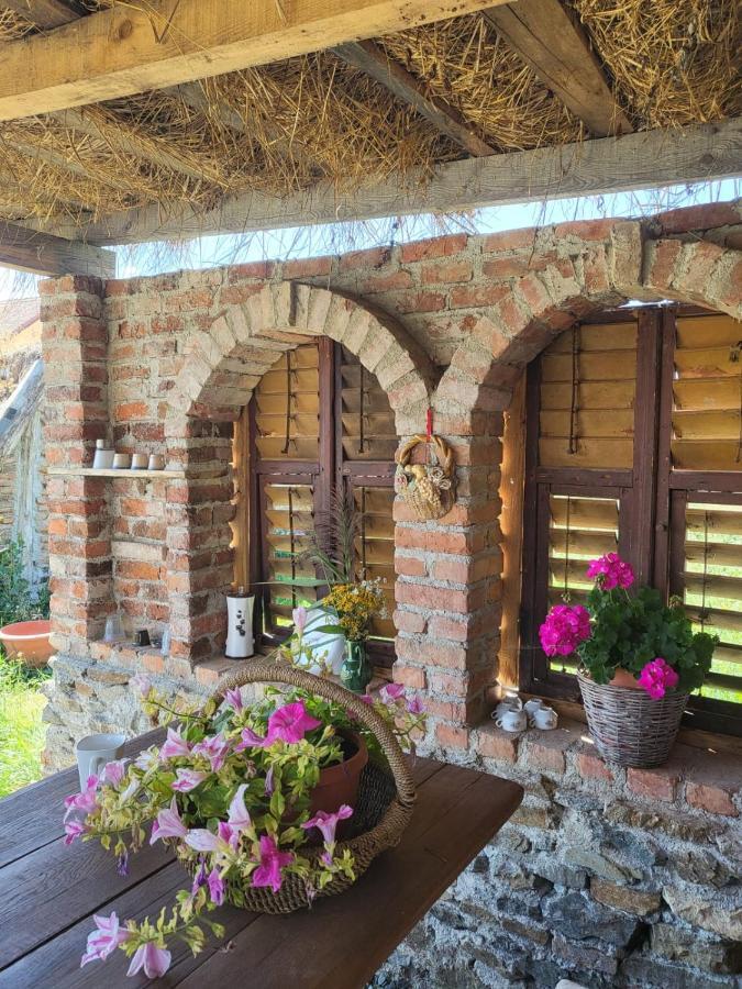 Casa Maria Daire Cincu Dış mekan fotoğraf