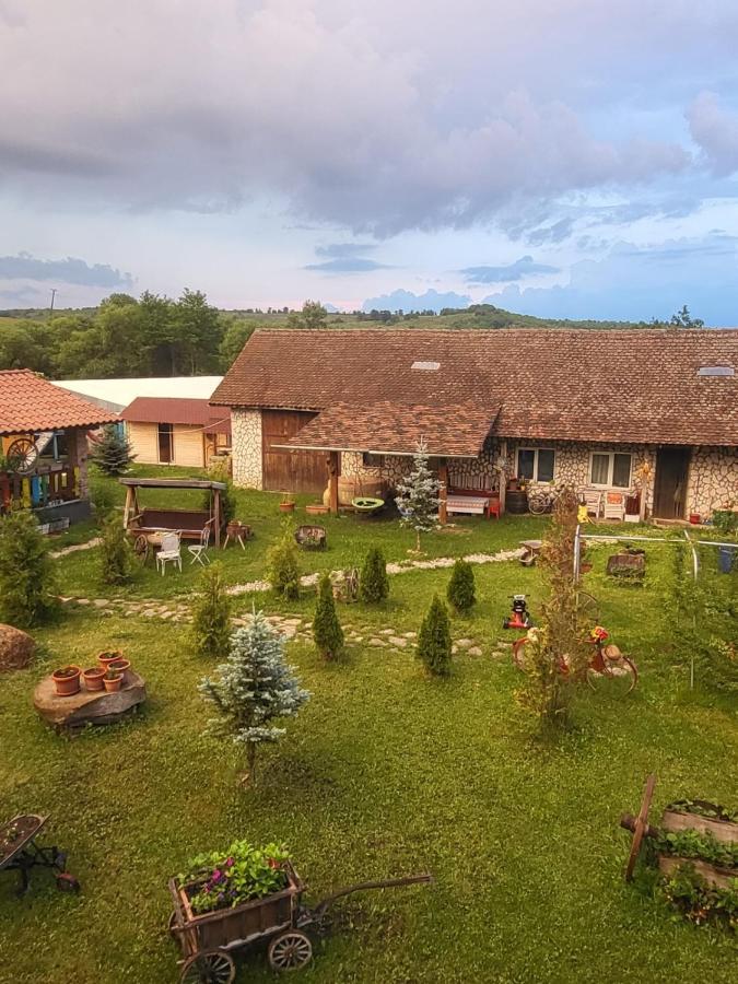 Casa Maria Daire Cincu Dış mekan fotoğraf