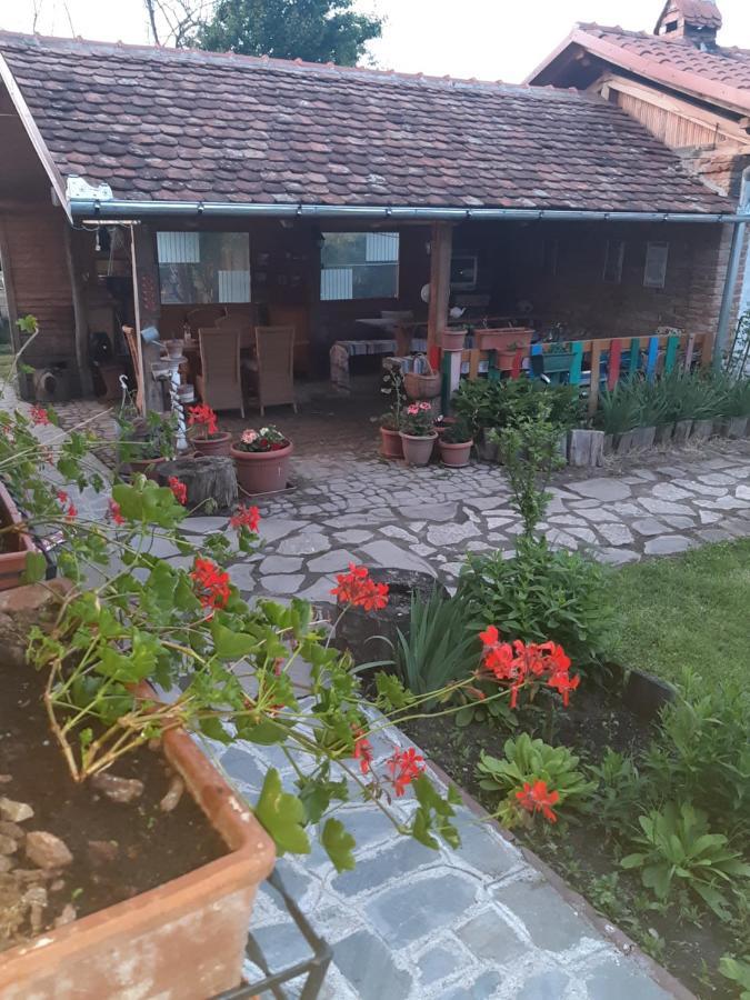 Casa Maria Daire Cincu Dış mekan fotoğraf