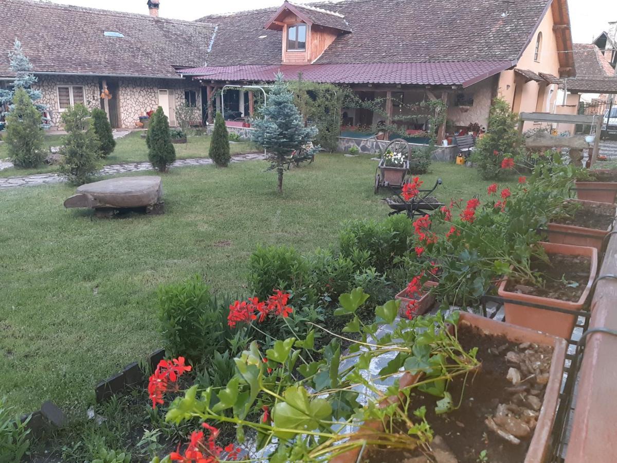 Casa Maria Daire Cincu Dış mekan fotoğraf