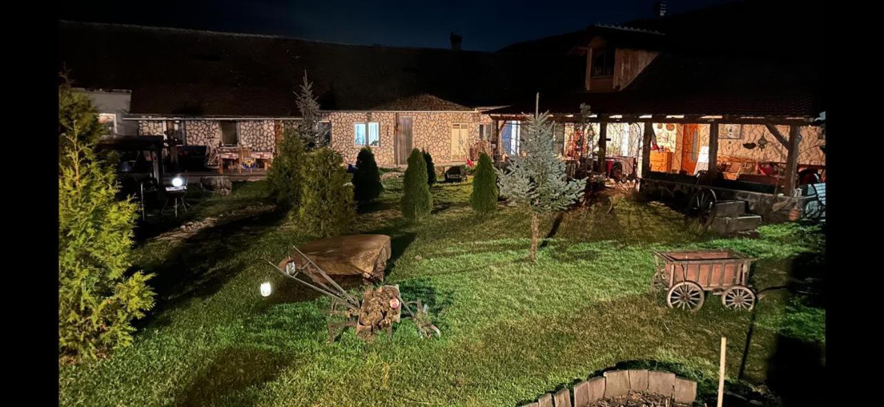 Casa Maria Daire Cincu Dış mekan fotoğraf